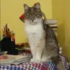 Отзыв от Ида Попова